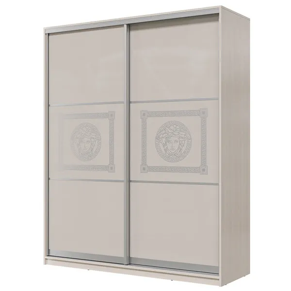 Шкаф-купе Премиум (стекло лакобель с печатью) 1,6 м (вариант 4)