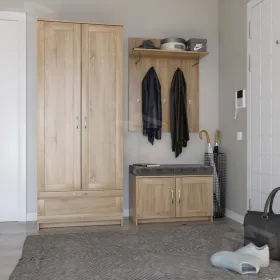 2.02.11.260.3 СИРИУС вешалка 78х100 сонома RU