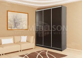 Шкаф-купе Бассо-5 (600)