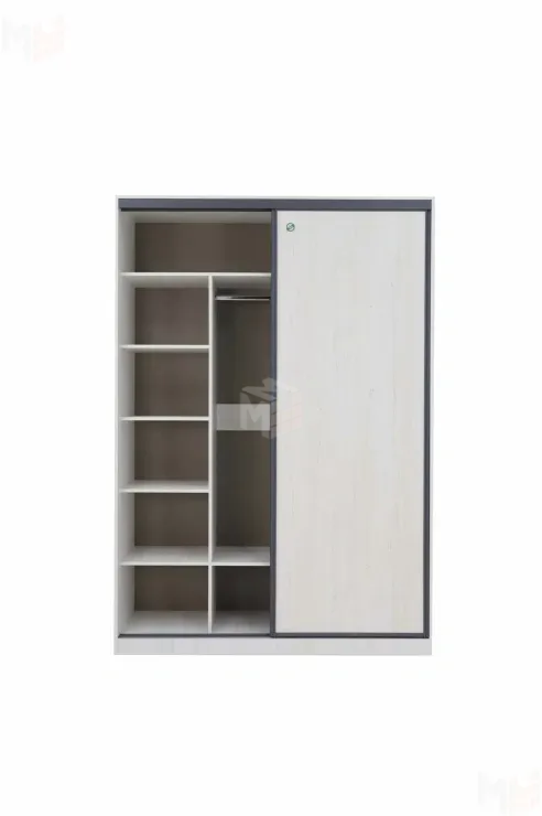 Шкаф-купе без зеркала Винтер 6.16