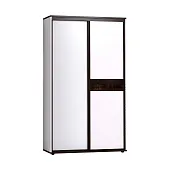 Шкаф-купе Норвуд 303