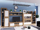 Гостиная Терра, вариант 3 (сонома/белый)