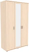 Шкаф для одежды с 1 зеркалом ГАРУН-К 513.11