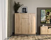 2.02.03.320.3 СИРИУС тумба 3 двери и 1 ящик 117х123 сонома RU