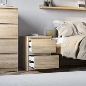 2.05.03.010.3 МАЛЬТА тумба 2 ящика 40х54 сонома RU