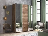Шкаф-купе Прайм 3-х дверный Зеркало, ЛДСП 180 см