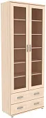 Шкаф для книг ГАРУН-К 502.09 Шкаф для книг ГАРУН-К 502.09