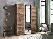 Шкаф-купе Прайм 3-х дверный ЛДСП, Зеркало 210 см