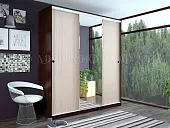 Шкаф-купе Альянс 2,0 (венге/дуб)