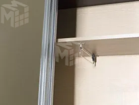 Шкаф-купе с зеркалом Ольга 10 Ясень Шимо Светлый/Венге