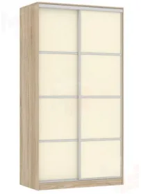 Шкаф-купе Рио-2 (600)