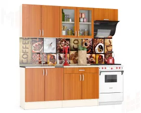 Шкаф нижний Клер ШН1Я 800