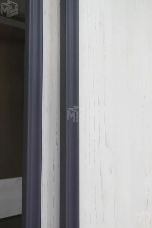 Шкаф-купе без зеркала Винтер 6.16