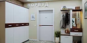 Прихожая НОРВУД 3