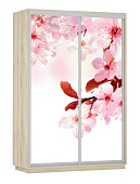 Шкаф-купе Фото дуо 1400 Сакура (2200)