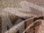 Угловой диван Хьюго правый угол (бежевый\серый\коричневый)